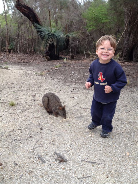 The Patriarch Wildlife Sanctuary Camping Ground - Accommodation NSW 1