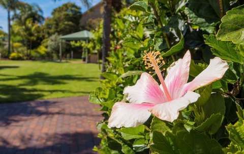 Tuscany Apartments - Accommodation NSW 6