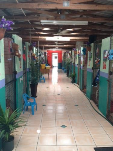 Hillcrest Pet Resort - Accommodation NSW 0