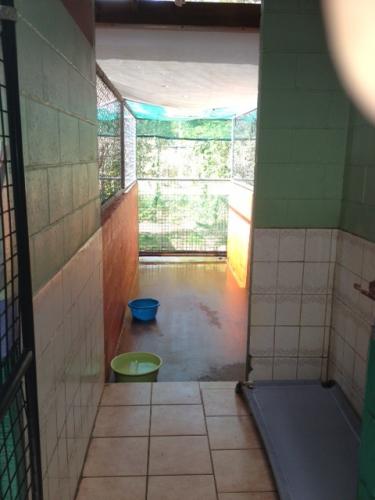 Hillcrest Pet Resort - Accommodation NSW 1