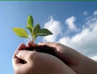 Vital Spirit Natural Health - Accommodation NSW 0