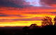 Avocado Sunset Bed & Breakfast - thumb 7