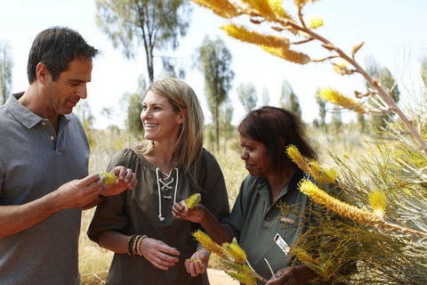 Ayers Rock Campground - Accommodation NSW 2