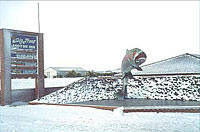 Big Trout Motor Inn - Accommodation NSW 1