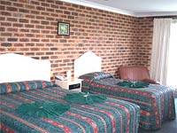 Big Trout Motor Inn - Accommodation NSW 3