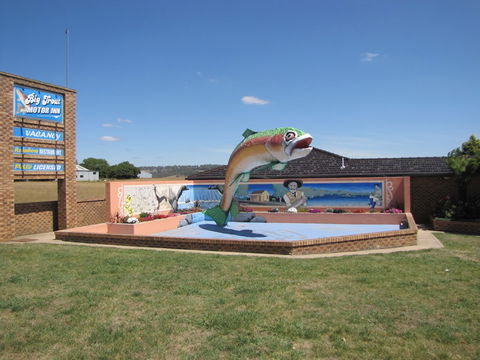 Big Trout Motor Inn - Accommodation NSW 7