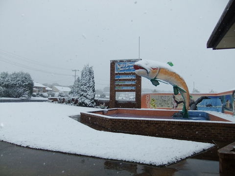 Big Trout Motor Inn - Accommodation NSW 11