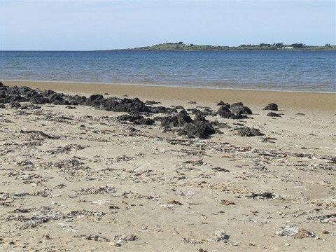 BIG4 Kelso Sands Holiday & Native Wildlife Park - Accommodation NSW 1