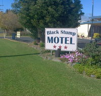 Coolah Black Stump Motel - Accommodation NSW