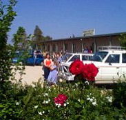 Boerbuck Country Motel  Host Farm - Accommodation NSW