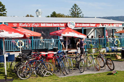 Bulli Beach Tourist Park - Accommodation NSW 4