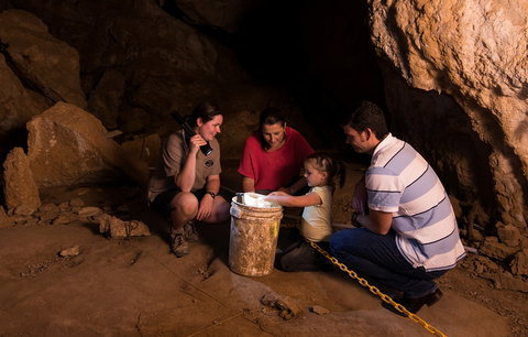 Capricorn Caves - Accommodation NSW 1