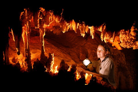 Capricorn Caves - Accommodation NSW 5