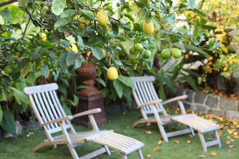 Captains Retreat B&B - Accommodation NSW 1