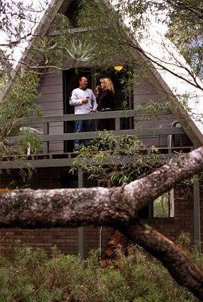 Caves Road Chalets - Accommodation NSW 0