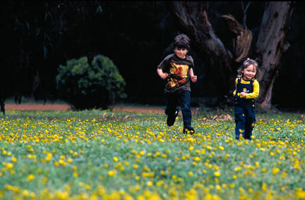 Caves Road Chalets - Accommodation NSW 3