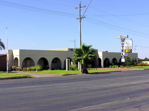 Citrus Motel - Accommodation NSW 0