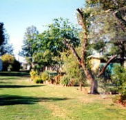 Condamine River Caravan Park - Accommodation NSW