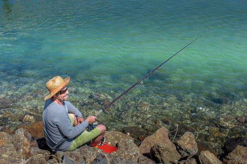 Crescent Head Holiday Park - Accommodation NSW 4