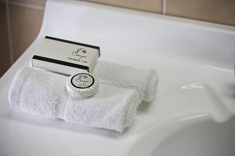 Cumberland Motor Inn - Accommodation NSW 7