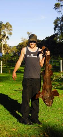 Denmark Rivermouth Caravan Park - Accommodation NSW 4