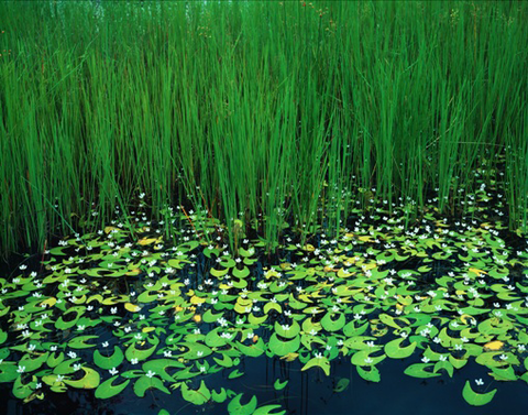 Cantata Studio - Accommodation NSW 2