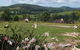 BellbirdHill Bed & Breakfast - thumb 3