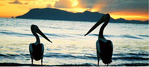 Villa Marine Cairns Beach Self Contained Holiday Apartments - Accommodation NSW 4