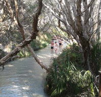 Pippies Fraser Island Tours - Accommodation NSW