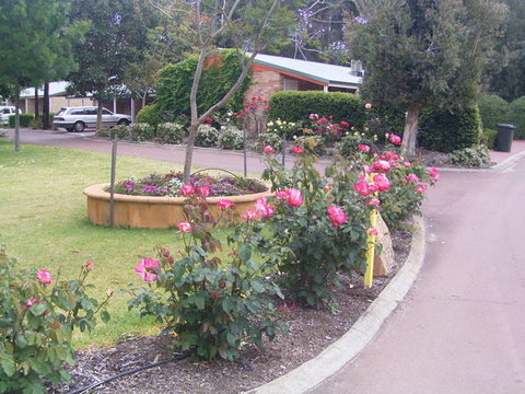 Golden Chain Margaret River Country Cottages - Accommodation NSW 4