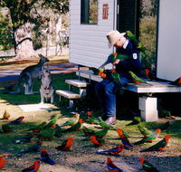 Inland Waters Holiday Parks Burrinjuck - Accommodation NSW