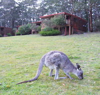 Jenolan Caves Cottages - Accommodation NSW