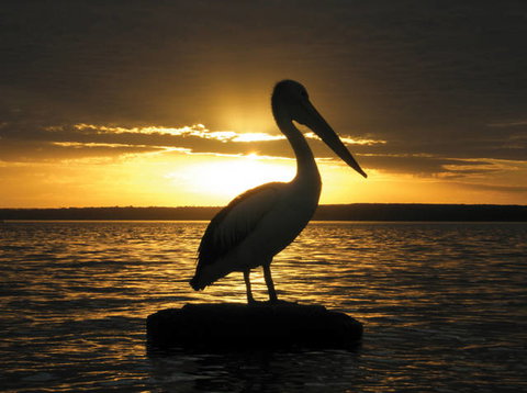 King George Retreat - Accommodation NSW 1