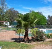 Lake Burrinjuck Leisure Resort - Accommodation NSW