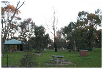 Lake Waranga Caravan Park & Holiday Camp - Accommodation NSW 1