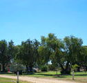Lockhart Caravan Park - Accommodation NSW