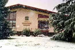 Marlborough Motor Inn - Accommodation NSW 4