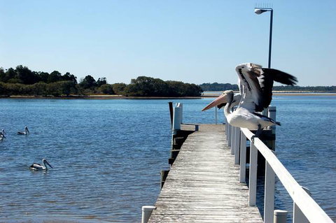Moby Dick Waterfront Motel - Accommodation NSW 4