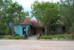 Mt Carbine Caravan Park - Accommodation NSW 0