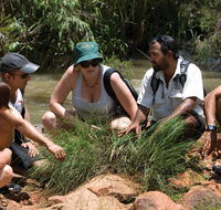 Nitmiluk Tours  Accommodation - Accommodation NSW