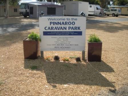 Pinnaroo Caravan Park - Accommodation NSW 0