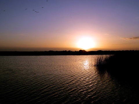 Quest Williamstown North - Accommodation NSW 4