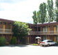 Red Cedars Motel - Accommodation NSW