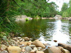 Riverwood Downs Mountain Valley Resort - Accommodation NSW 7