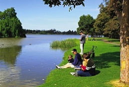 Sale Motor Village - Accommodation NSW 0