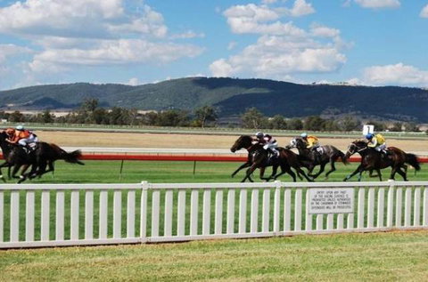 Scone Motor Inn - Accommodation NSW 1