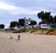 Stansbury Foreshore Caravan Park - Accommodation NSW