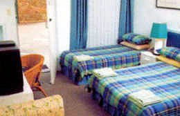Tall Timbers Motel - Accommodation NSW 0