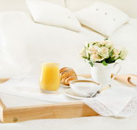 The Falls Retreat - Accommodation NSW
