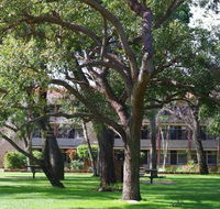 Trinity - Accommodation NSW
